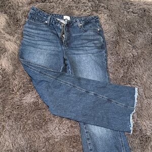 Time and Tru Dark Blue flare jeans